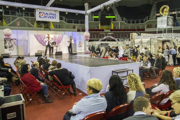 20150131_kekes_szaffi_18