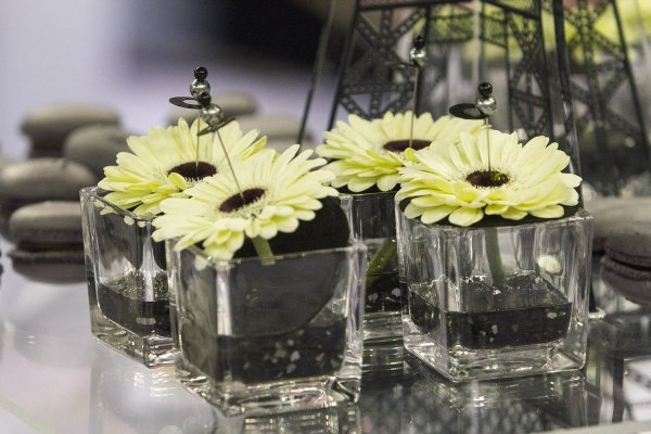 20150131_kekes_szaffi_32